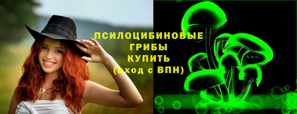 дмт Арсеньев