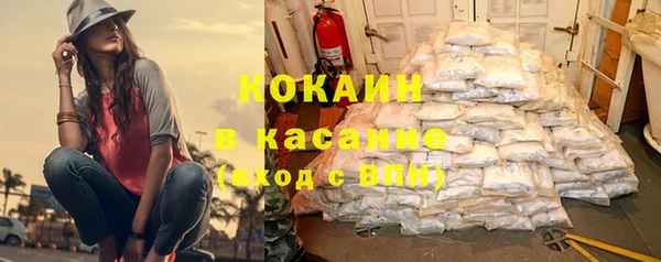 крисы Баксан